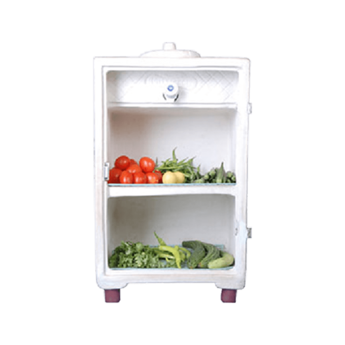 mitti cool fridge