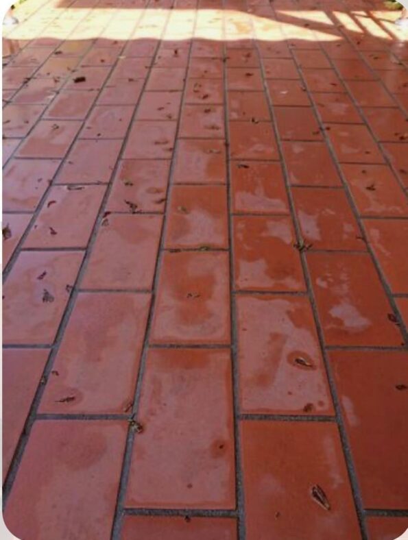 Clay products in Kerala Clay products in Kolkata
